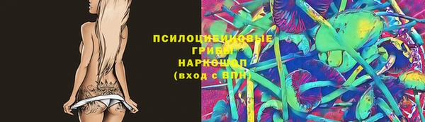 PSILOCYBIN Сатка
