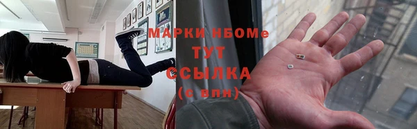 прущие грибы Семикаракорск