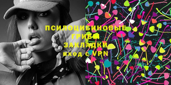 apvp Няндома