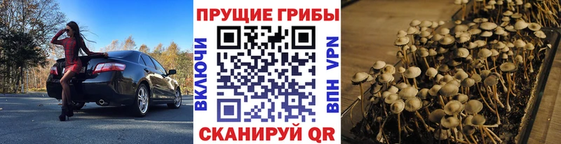 Галлюциногенные грибы мицелий Новотитаровская